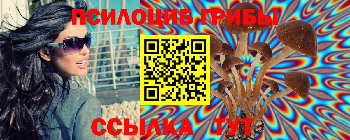 Псилоцибиновые грибы MAGIC MUSHROOMS Владивосток