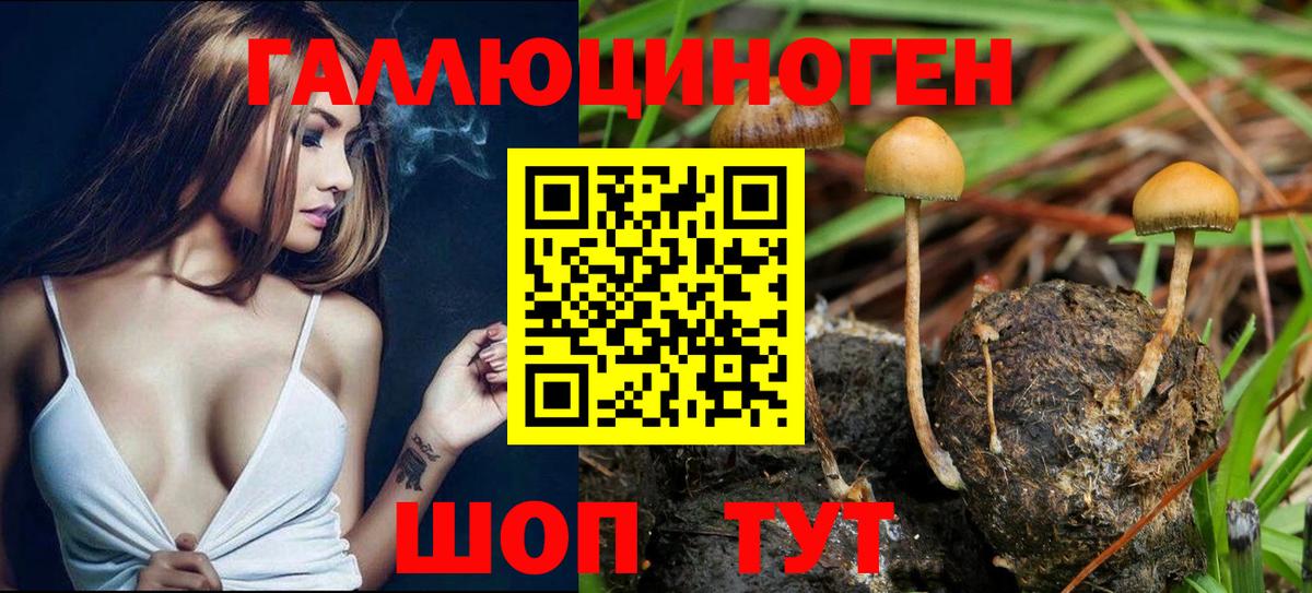 Владивосток  Галлюциногенные грибы мухоморы  Вход с VPN 